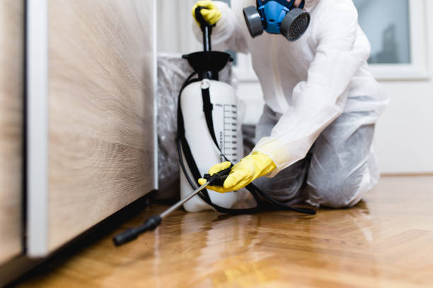 Best Bed Bug Extermination  in Cornersville, TN