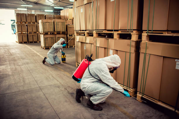 Reliable Cornersville, TN Pest Control Solutions