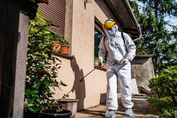 Best Rat Extermination Near Me  in Cornersville, TN