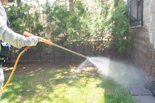 Best Pest Control Treatment  in Cornersville, TN