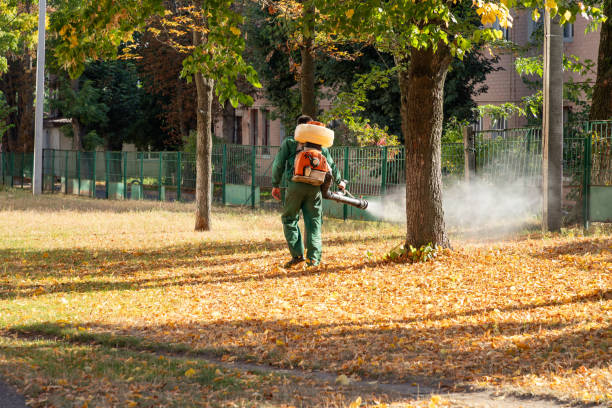 Best Residential Pest Control  in Cornersville, TN